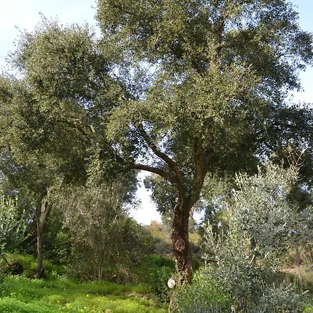 Casa Do Frade Σπίτι διακοπών